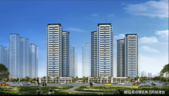 进入预售证查询后